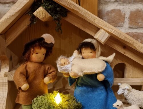 WUNDER GIBT ES ÜBERALL, AUCH BEI UNS!