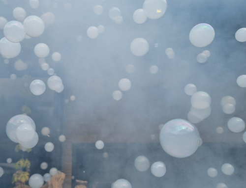 DIE WELT GEHÖRT DEM, DER SIE GENIESST